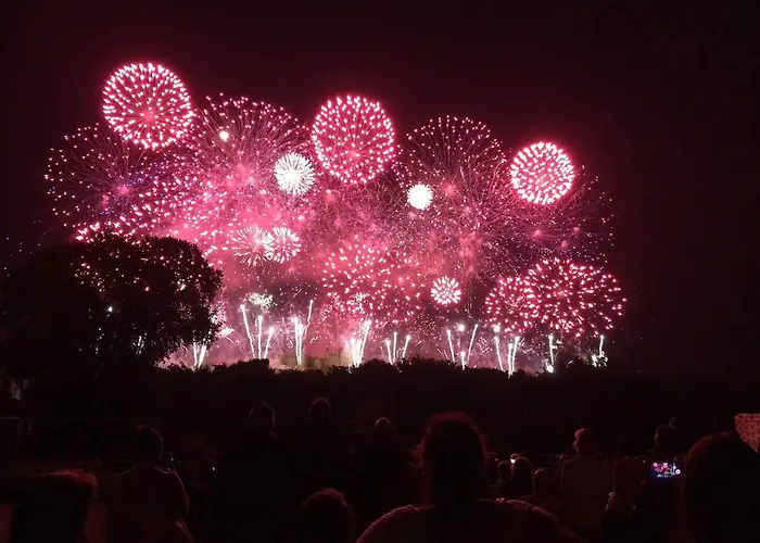La Barbes Apartment Carcassonne